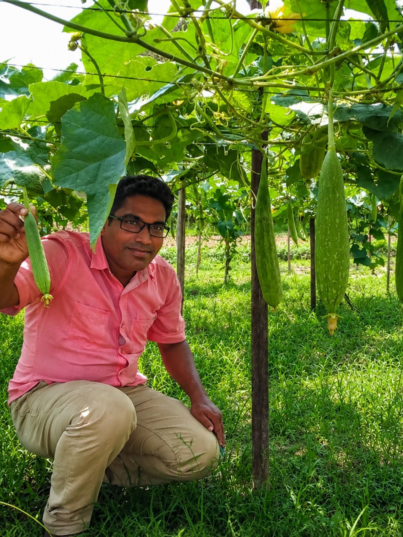 Organic Agro (4)