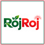 RojRoj - Every Day, Everything You Need